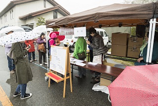 ぐるっと流山 第6回流山スプリングフェスタ 菜の花まつり 流山市公式携帯サイト